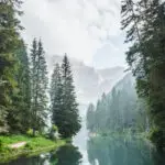 trees-rivers-02.jpg